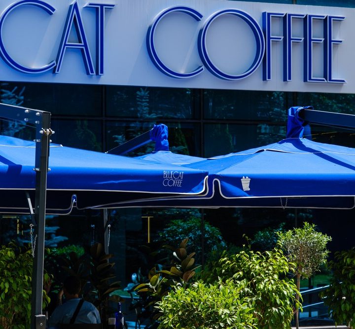 BlueCat Coffee